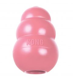 KONG Puppy